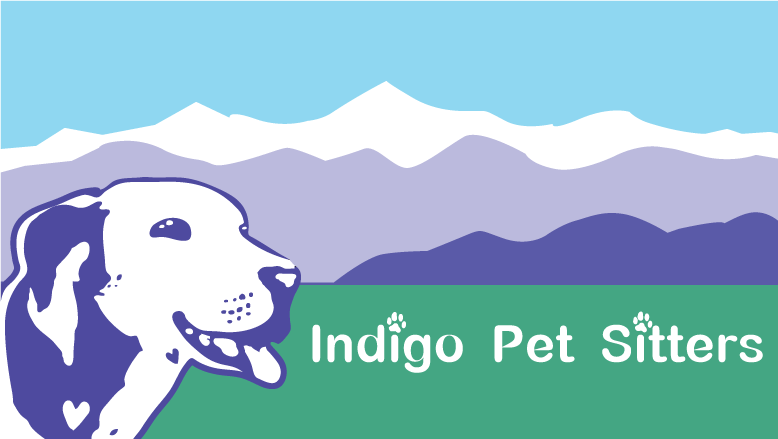 Indigo Pet Sitters. Profesional Pet Sitter. Professional Dog walker. Cat sitter.